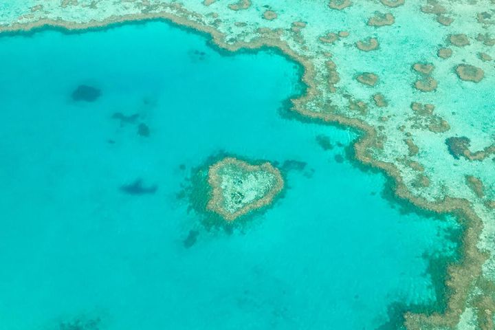 Great Barrier Reef snorkel day trip