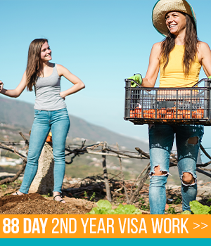 88 day 2nd year visa farm work